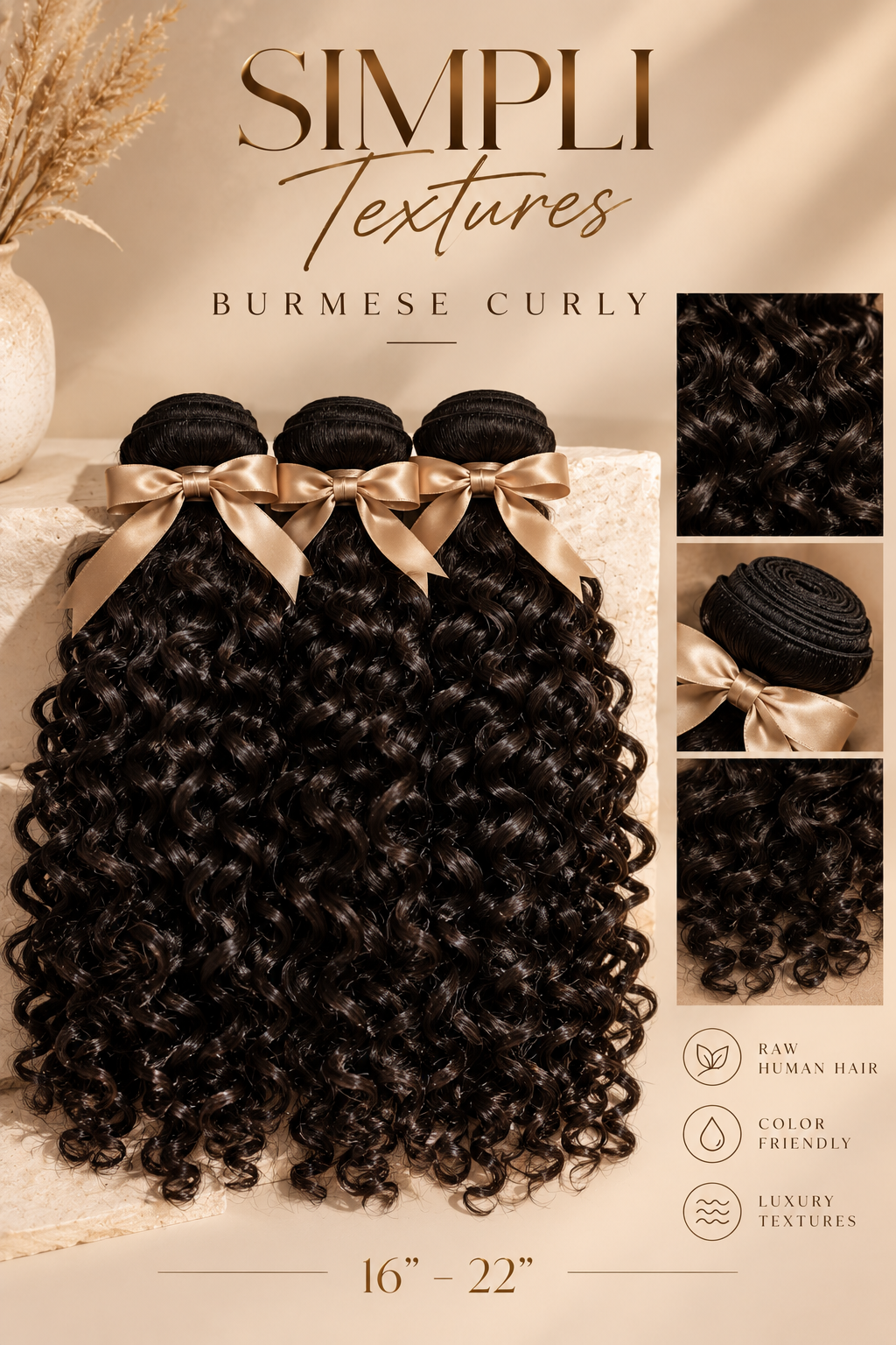 BURMESE CURLY